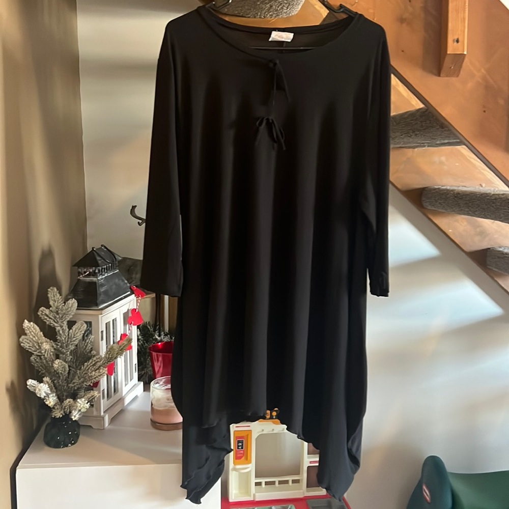 Zadie bs tunic top